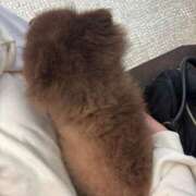 ヒメ日記 2025/04/20 20:43 投稿 深野 よみ Sクラス元キャバ嬢 ファーストクラス ルビー