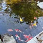 ヒメ日記 2025/04/21 10:23 投稿 深野 よみ Sクラス元キャバ嬢 ファーストクラス ルビー