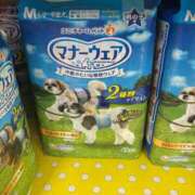 ヒメ日記 2025/09/12 15:36 投稿 深野 よみ Sクラス元キャバ嬢 ファーストクラス ルビー