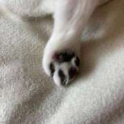 ヒメ日記 2025/09/18 12:53 投稿 深野 よみ Sクラス元キャバ嬢 ファーストクラス ルビー