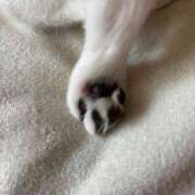 ヒメ日記 2026/01/28 13:03 投稿 深野 よみ Sクラス元キャバ嬢 ファーストクラス ルビー