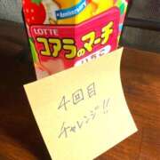 ヒメ日記 2025/03/09 01:38 投稿 ちさと ティアラ(小名浜)