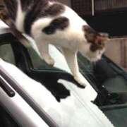 ヒメ日記 2025/03/11 12:28 投稿 ちさと ティアラ(小名浜)