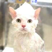 ヒメ日記 2025/06/29 19:18 投稿 ちさと ティアラ(小名浜)