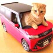 ヒメ日記 2025/07/08 22:48 投稿 ちさと ティアラ(小名浜)