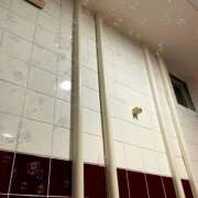 ヒメ日記 2025/08/05 11:48 投稿 ちさと ティアラ(小名浜)