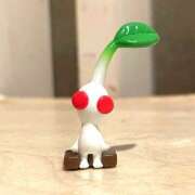 ヒメ日記 2025/09/01 20:08 投稿 ちさと ティアラ(小名浜)