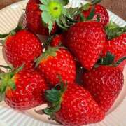 ヒメ日記 2026/01/13 18:08 投稿 ちさと ティアラ(小名浜)