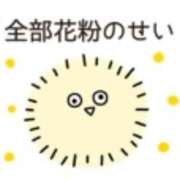 ヒメ日記 2026/07/09 19:28 投稿 ちさと ティアラ(小名浜)