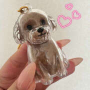 ヒメ日記 2025/10/27 18:08 投稿 のぞみ ティアラ(小名浜)