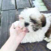 ヒメ日記 2025/09/24 20:55 投稿 流川 ふう　Hカップ芸能人顔負け ファーストクラス ルビー