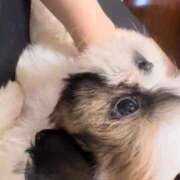 ヒメ日記 2025/09/25 14:06 投稿 流川 ふう　Hカップ芸能人顔負け ファーストクラス ルビー