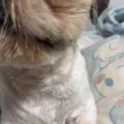 ヒメ日記 2025/10/22 18:53 投稿 流川 ふう　Hカップ芸能人顔負け ファーストクラス ルビー