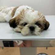 ヒメ日記 2025/10/22 21:13 投稿 流川 ふう　Hカップ芸能人顔負け ファーストクラス ルビー