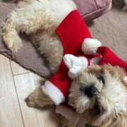 ヒメ日記 2025/10/25 22:53 投稿 流川 ふう　Hカップ芸能人顔負け ファーストクラス ルビー