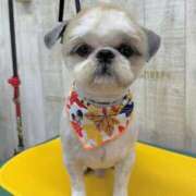 ヒメ日記 2025/10/28 17:23 投稿 流川 ふう　Hカップ芸能人顔負け ファーストクラス ルビー