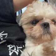 ヒメ日記 2025/10/29 17:47 投稿 流川 ふう　Hカップ芸能人顔負け ファーストクラス ルビー