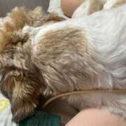 ヒメ日記 2025/10/30 18:49 投稿 流川 ふう　Hカップ芸能人顔負け ファーストクラス ルビー