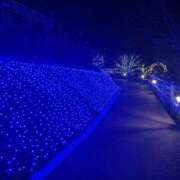 ヒメ日記 2025/10/31 15:25 投稿 流川 ふう　Hカップ芸能人顔負け ファーストクラス ルビー