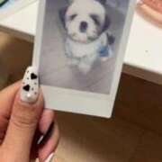 ヒメ日記 2025/11/08 20:30 投稿 流川 ふう　Hカップ芸能人顔負け ファーストクラス ルビー