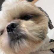 ヒメ日記 2025/11/08 22:16 投稿 流川 ふう　Hカップ芸能人顔負け ファーストクラス ルビー