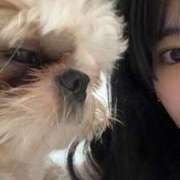 ヒメ日記 2025/11/13 19:03 投稿 流川 ふう　Hカップ芸能人顔負け ファーストクラス ルビー