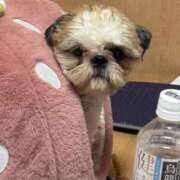 ヒメ日記 2025/11/16 16:27 投稿 流川 ふう　Hカップ芸能人顔負け ファーストクラス ルビー