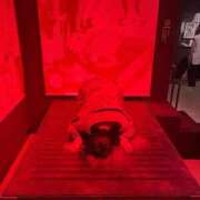 ヒメ日記 2025/11/16 21:35 投稿 流川 ふう　Hカップ芸能人顔負け ファーストクラス ルビー