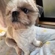 ヒメ日記 2025/11/17 11:35 投稿 流川 ふう　Hカップ芸能人顔負け ファーストクラス ルビー