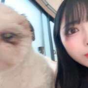 ヒメ日記 2025/11/25 16:37 投稿 流川 ふう　Hカップ芸能人顔負け ファーストクラス ルビー