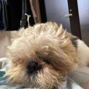 ヒメ日記 2025/11/30 16:17 投稿 流川 ふう　Hカップ芸能人顔負け ファーストクラス ルビー