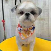 ヒメ日記 2025/11/30 16:21 投稿 流川 ふう　Hカップ芸能人顔負け ファーストクラス ルビー