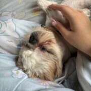 ヒメ日記 2025/12/08 20:17 投稿 流川 ふう　Hカップ芸能人顔負け ファーストクラス ルビー