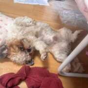 ヒメ日記 2025/12/14 21:41 投稿 流川 ふう　Hカップ芸能人顔負け ファーストクラス ルビー