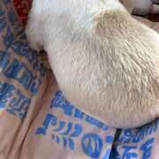 ヒメ日記 2025/12/25 18:55 投稿 流川 ふう　Hカップ芸能人顔負け ファーストクラス ルビー