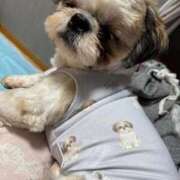 ヒメ日記 2026/01/05 21:23 投稿 流川 ふう　Hカップ芸能人顔負け ファーストクラス ルビー