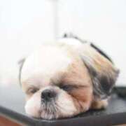 ヒメ日記 2026/01/11 13:53 投稿 流川 ふう　Hカップ芸能人顔負け ファーストクラス ルビー