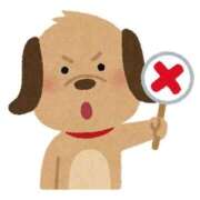 ヒメ日記 2026/01/27 20:47 投稿 流川 ふう　Hカップ芸能人顔負け ファーストクラス ルビー