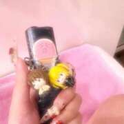 ヒメ日記 2026/02/21 22:42 投稿 流川 ふう　Hカップ芸能人顔負け ファーストクラス ルビー