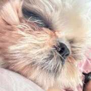 ヒメ日記 2026/04/18 17:06 投稿 流川 ふう　Hカップ芸能人顔負け ファーストクラス ルビー