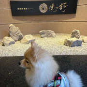 ヒメ日記 2025/03/26 17:38 投稿 みお ティアラ(小名浜)