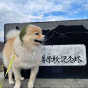 ヒメ日記 2025/04/25 16:28 投稿 みお ティアラ(小名浜)