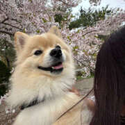 ヒメ日記 2025/06/27 13:28 投稿 みお ティアラ(小名浜)