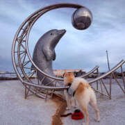 ヒメ日記 2025/11/21 16:28 投稿 みお ティアラ(小名浜)