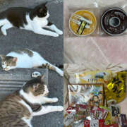 ヒメ日記 2025/08/13 21:48 投稿 じゅん ティアラ(小名浜)