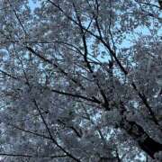 ヒメ日記 2026/04/25 20:58 投稿 じゅん ティアラ(小名浜)