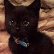 ヒメ日記 2025/07/20 07:18 投稿 みさき☆ ティアラ(小名浜)