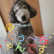 ヒメ日記 2025/09/23 11:55 投稿 みさき☆ ティアラ(小名浜)