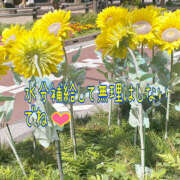 ヒメ日記 2025/05/22 14:48 投稿 セリナ ティアラ(小名浜)