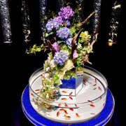 ヒメ日記 2025/06/24 17:18 投稿 セリナ ティアラ(小名浜)